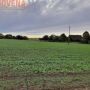 Oferta